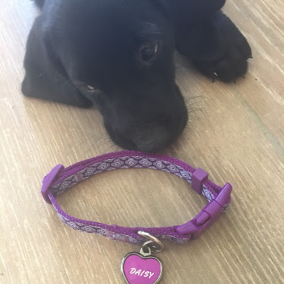 Meet your Posher, Catherine - Picture 1 of 1